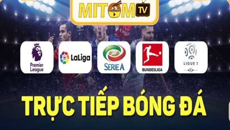 Giới thiệu những chức năng độc đáo của Mitom TV